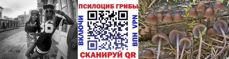 Галлюциногенные грибы Magic Shrooms  Нея 